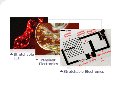 High Performance Bio-integrated Devices for Clinical Applications